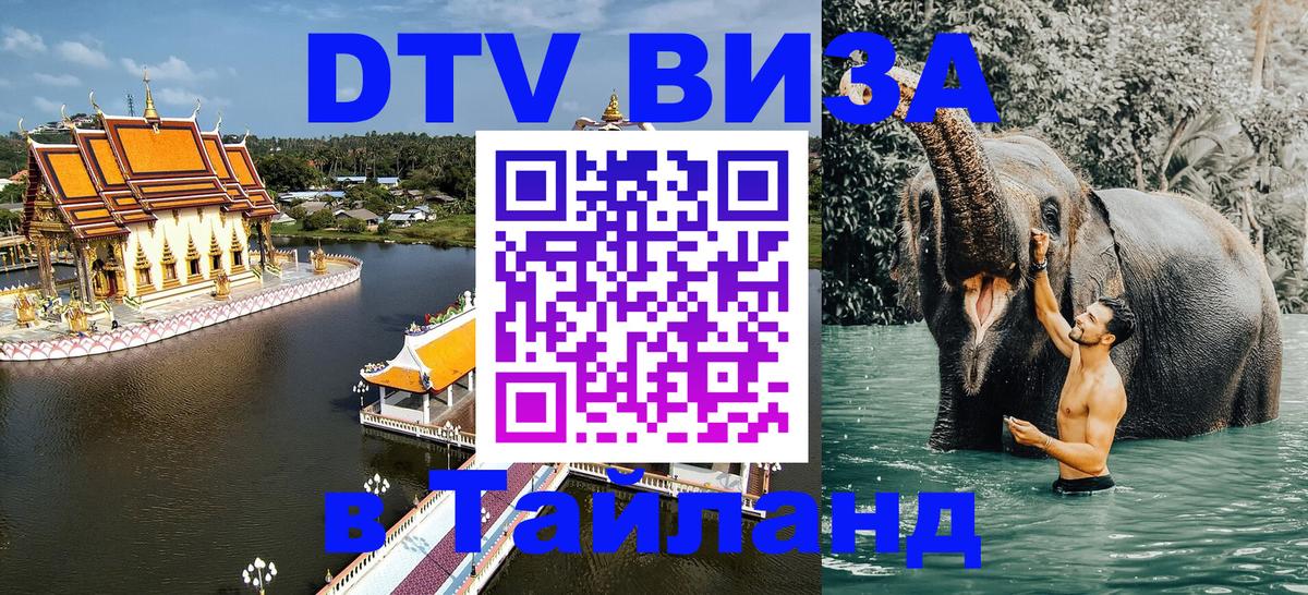 Сколько стоит DTV виза — актуальные цены, оформление даже без документов - 04.10.2025 